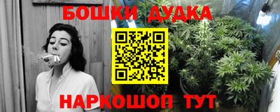 МДПВ Татарск