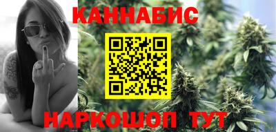 МДПВ Татарск