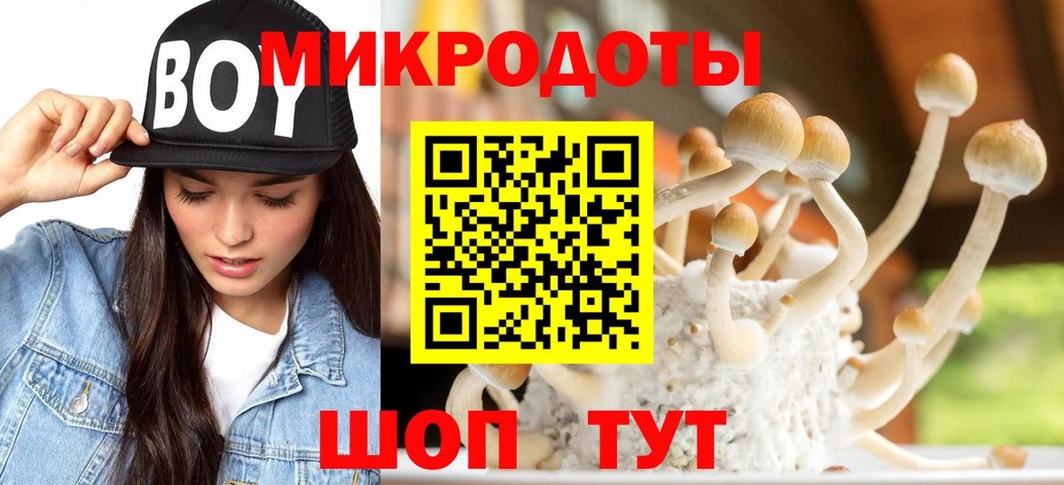 Псилоцибиновые грибы GOLDEN TEACHER  Вход с VPN  Боровичи  Галлюциногенные грибы Cubensis 